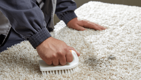 Professional Rug Cleaning Nunawading